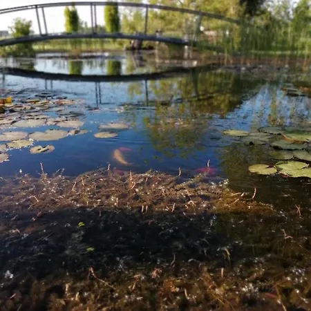 Oasi Bianca Resort *