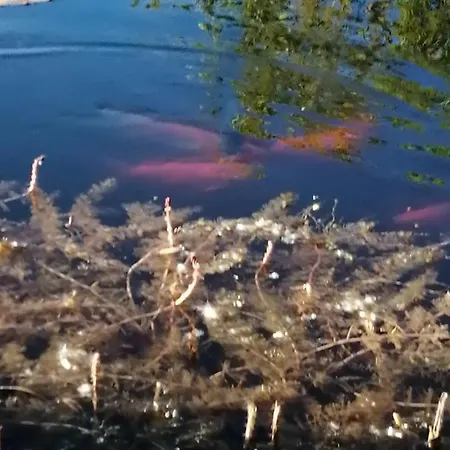 Oasi Bianca Курортный комплекс *