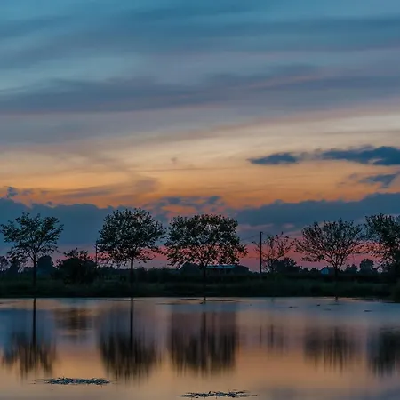 Oasi Bianca * Pomposa