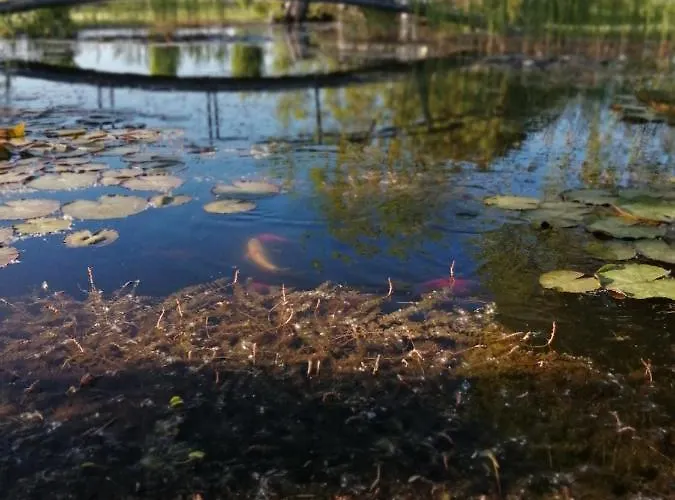 Oasi Bianca Resort *