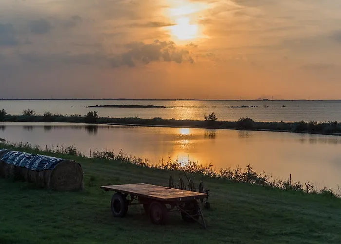 Oasi Bianca Resort *